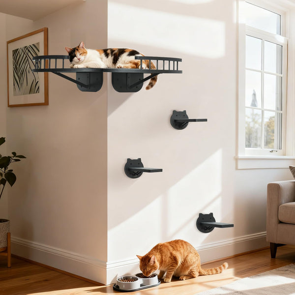 Cat Wall Shelves Furniture Set with Scratching Pad,Wooden Cat Climbing Wall Systems with 2 Perches and 3 Steps, Floating Shelves Bed Wall Mounted for Indoor Fit Up to 15Lbs (Black)