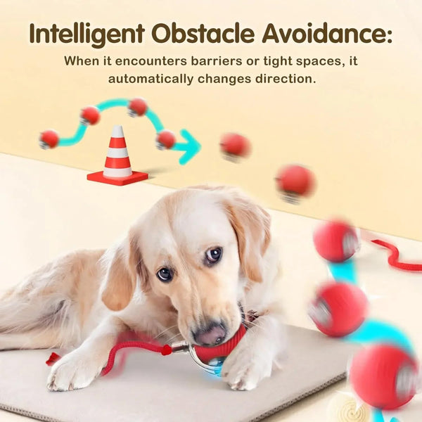 Automatic Ball for Small Dogs & Cats - Activated Moving Toy, Rechargeable, Self Play, Ball Toy with Long Tail Teaser