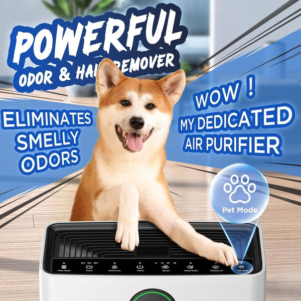 Air Purifiers for Home Large Room up to 2200sq.ft, MOOKA Air purifier for Home Pets with Washable Filter, PM 2.5 Display Air Quality Sensor Air Cleaner for Bedroom, Dorm room, Pets, Office PR1 (White)