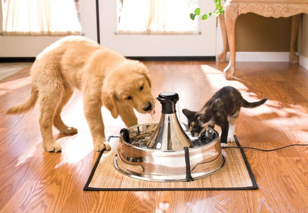 PetSafe Drinkwell Stainless Multi-Pet Fountain, red, 8 lb (PWW00-13705)