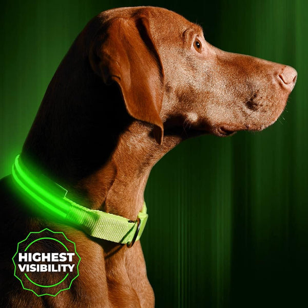ILLUMISEEN LED Dog Collar USB Rechargeable - Bright & High Visibility Lighted Glow Collar for Pet Night Walking - Weatherproof, in 6 Colors & 6 Sizes (Green Large)