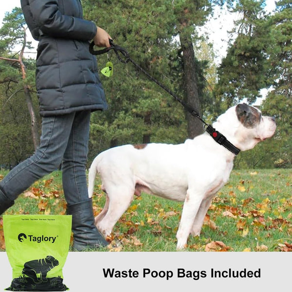 Taglory Rope Dog Leash for Medium Large Dogs, 6 FT Padded Handle, Black | Climbing Rope for Strong Pullers, Reflective for Night Walks and Training, Comfortable Grip, Anti-tangle Swivel Clip 1/2 inch