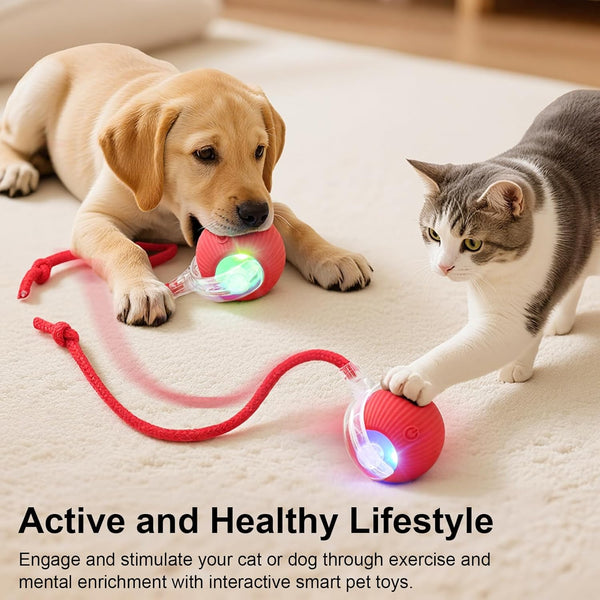 Smart Interactive Automatic Electric Rolling Moving Rechargeable Motion Activated Self Play Electronic Stimulation Chase Teaser Ball Toy with Rope for Indoor Bored Adult Cat and Dog, Red
