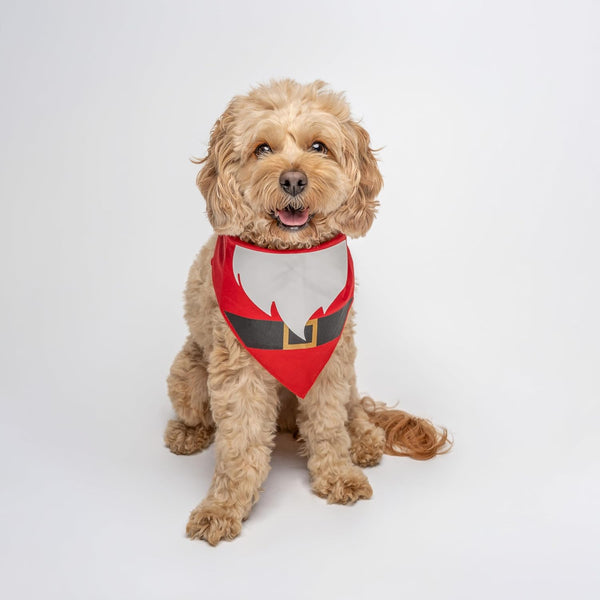 Santa Claus Costume Christmas Dog Bandana | 100% Cotton | Made in USA |Gift |Red, OS (1166)