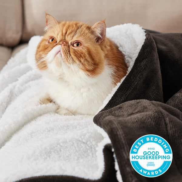 Bedsure GentleSoft Sherpa Fleece Blanket Queen Size for Bed, Non-Heated, Thick and Warm Throw for Women and Men, Soft Fuzzy Plush Queen Blanket for Winter, Brown, 90x90 Inches
