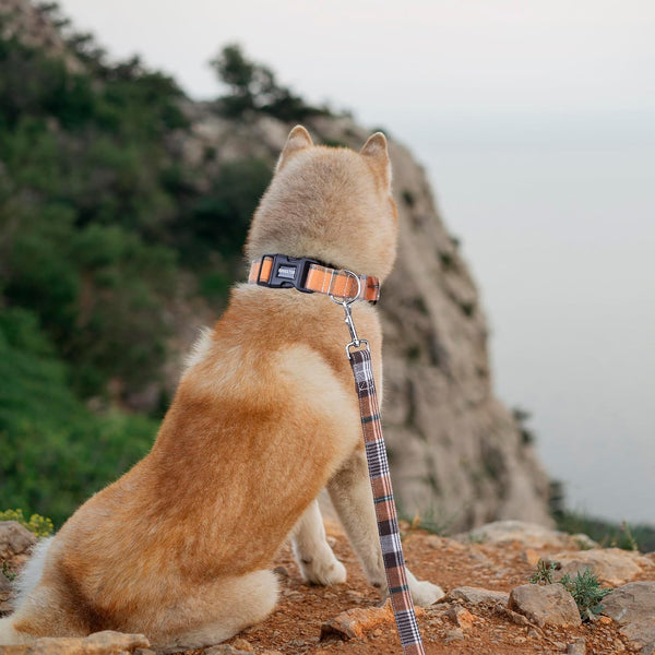 ADOGGYGO Fall Dog Leash, Orange Plaid Thanksgiving Leash for Dog, 5FTx1''