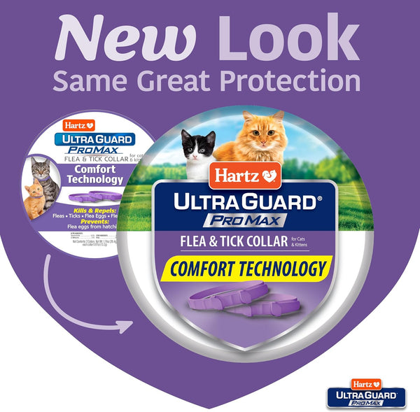 Hartz UltraGuard ProMax Flea & Tick Collar for Cats & Kittens I 14 Months Protection I Soft & Comfortable | Kills Fleas, Ticks, and Larvae I 2 Pack