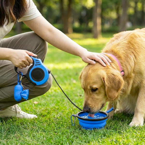 PETIMP Retractable Dog Leash Lightweight 16FT Leash Set
