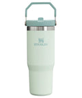 Stanley IceFlow 2.0 Flip Straw Tumbler with Handle 30 oz | Twist On Lid and Flip Up Straw | Leak Resistant Water Bottle | Insulated Stainless Steel | BPA-Free | Dried Pine