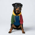 Spark Paws Dog Hoodie – Premium Dog Sweater for Small, Medium, and Large Dogs | Warm Outfits for French Bulldogs, Pitbull, Puppy, Winter Jacket Alternative - Slate Blue - XL