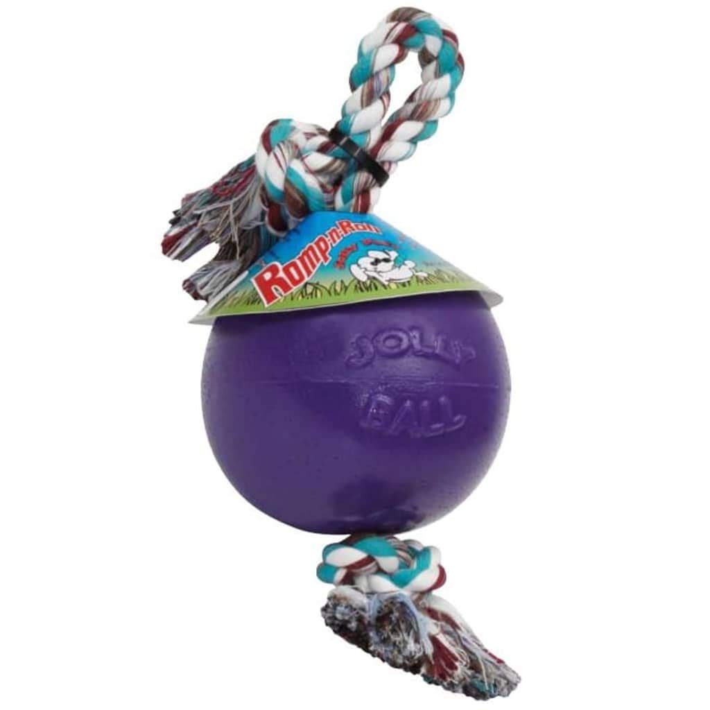 Jolly Pets Romp-n-Roll Rope and Ball Dog Toy, 6 Inches/Medium, Blueberry, Model Number: 606 BB, All Breed Sizes