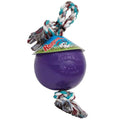 Jolly Pets Romp-n-Roll Rope and Ball Dog Toy, 8 Inches/Large, Blueberry, All Breed Sizes