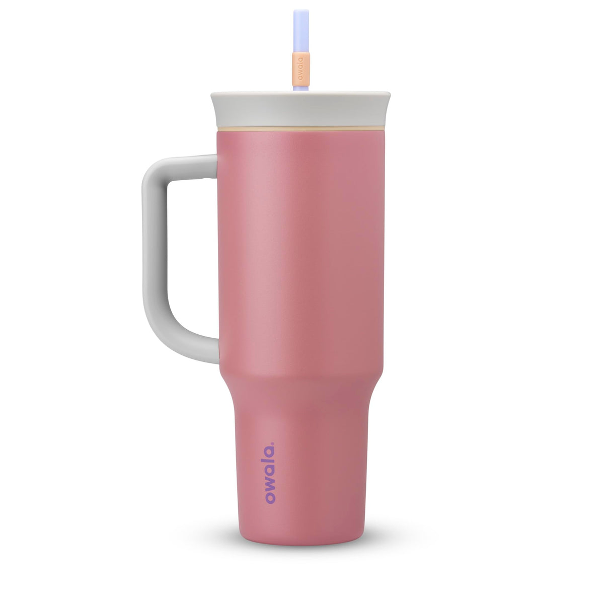 Owala FreeSip Tumbler Insulated Stainless Steel Water Bottle with Built-in Straw and Side Handle, For Travel, Work, School, and Sports, 40oz, BPA Free, Leak Proof, Strawberry Fields