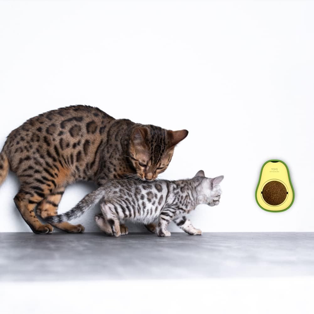 Avocado Catnip Wall Ball Cat Toys Catnip, 2PCS Cute Avocado Shape Catnip
