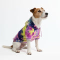 Spark Paws Dog Hoodie – Premium Dog Sweater for Small, Medium, and Large Dogs | Warm Outfits for French Bulldogs, Pitbull, Puppy, Winter Jacket Alternative - Alpine - L