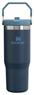 Stanley IceFlow 2.0 Flip Straw Tumbler with Handle 30 oz | Twist On Lid and Flip Up Straw | Leak Resistant Water Bottle | Insulated Stainless Steel | BPA-Free | Dried Pine