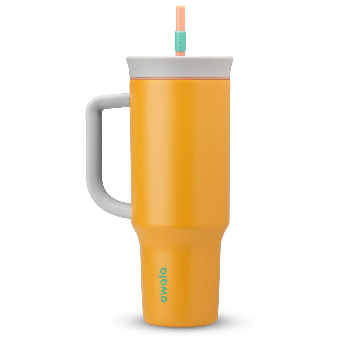 Owala FreeSip Tumbler Insulated Stainless Steel Water Bottle with Built-in Straw and Side Handle, For Travel, Work, School, and Sports, 40oz, BPA Free, Leak Proof, Strawberry Fields