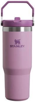 Stanley IceFlow 2.0 Flip Straw Tumbler with Handle 30 oz | Twist On Lid and Flip Up Straw | Leak Resistant Water Bottle | Insulated Stainless Steel | BPA-Free | Dried Pine