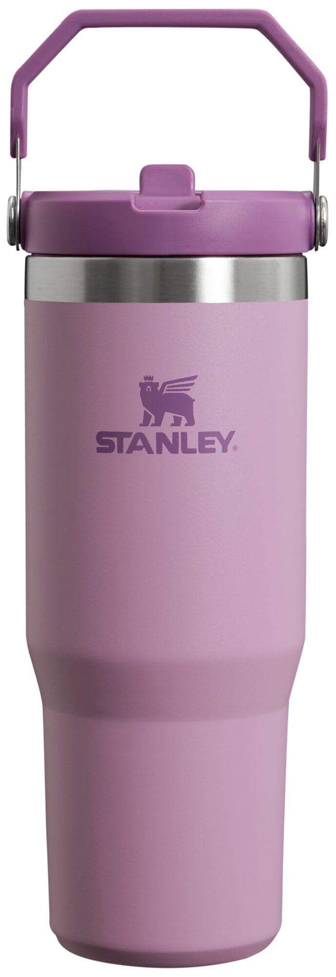 Stanley IceFlow 2.0 Flip Straw Tumbler with Handle 30 oz | Twist On Lid and Flip Up Straw | Leak Resistant Water Bottle | Insulated Stainless Steel | BPA-Free | Dried Pine