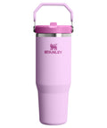 Stanley IceFlow 2.0 Flip Straw Tumbler with Handle 30 oz | Twist On Lid and Flip Up Straw | Leak Resistant Water Bottle | Insulated Stainless Steel | BPA-Free | Dried Pine