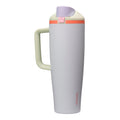 Owala FreeSip Tumbler Insulated Stainless Steel Water Bottle with Built-in Straw and Side Handle, For Travel, Work, School, and Sports, 40oz, BPA Free, Leak Proof, Strawberry Fields