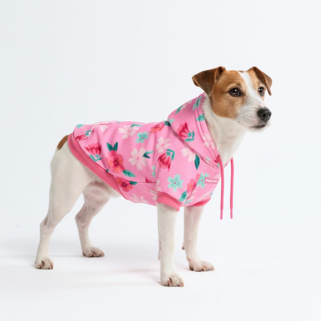 Spark Paws Dog Hoodie – Premium Dog Sweater for Small, Medium, and Large Dogs | Warm Outfits for French Bulldogs, Pitbull, Puppy, Winter Jacket Alternative - Slate Blue - XL
