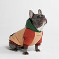Spark Paws Dog Hoodie – Premium Dog Sweater for Small, Medium, and Large Dogs | Warm Outfits for French Bulldogs, Pitbull, Puppy, Winter Jacket Alternative - Alpine - L