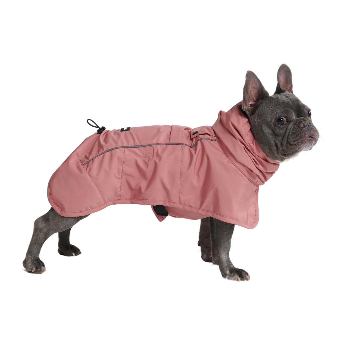 Spark Paws Dog Raincoat, Waterproof Windproof Rain Jacket, for Small Medium Large Extra Large Dogs, Reflective Breathable Full-Body Coverage Dry Suit - Neon White Navy Blue, 2XL