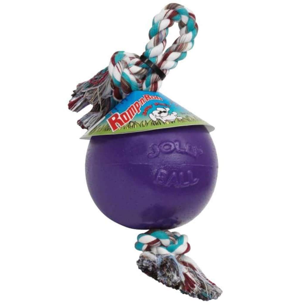 Jolly Pets Romp-n-Roll Rope and Ball Dog Toy, 8 Inches/Large, Blueberry, All Breed Sizes
