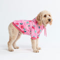 Spark Paws Dog Hoodie – Premium Dog Sweater for Small, Medium, and Large Dogs | Warm Outfits for French Bulldogs, Pitbull, Puppy, Winter Jacket Alternative - Slate Blue - XL
