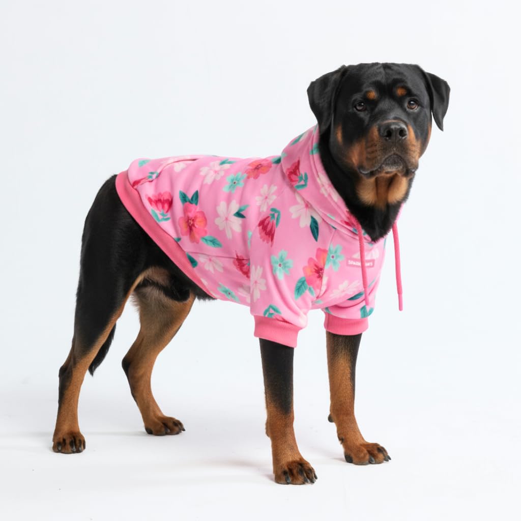 Spark Paws Dog Hoodie – Premium Dog Sweater for Small, Medium, and Large Dogs | Warm Outfits for French Bulldogs, Pitbull, Puppy, Winter Jacket Alternative - Slate Blue - XL