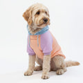 Spark Paws Dog Hoodie – Premium Dog Sweater for Small, Medium, and Large Dogs | Warm Outfits for French Bulldogs, Pitbull, Puppy, Winter Jacket Alternative - Slate Blue - XL
