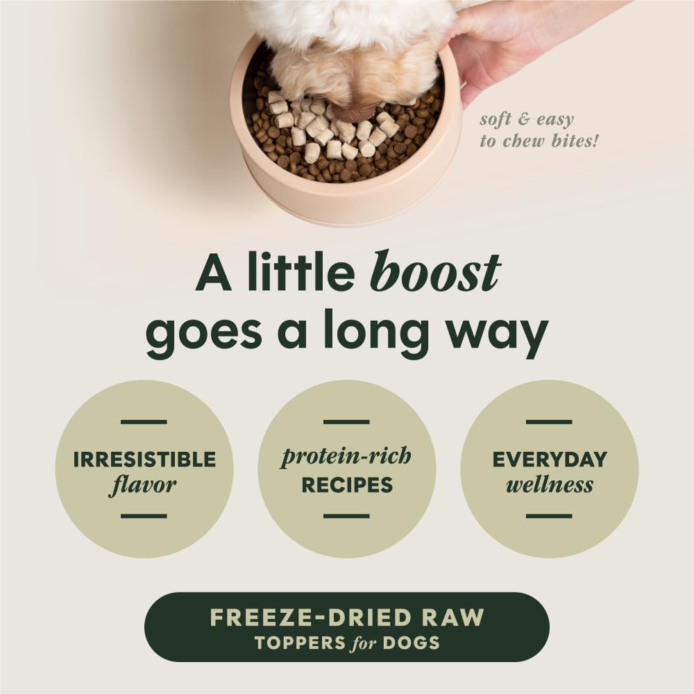 Instinct RawBoost Mixers, Freeze Dried Dog Food Topper, Grain-Free Recipe - All Natural Beef, 14 oz. Bag