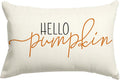 RABUSOFA Fall Pillow Covers 12x20 Pumpkin Decor Fall Decorations for Home