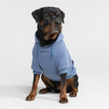Spark Paws Dog Hoodie – Premium Dog Sweater for Small, Medium, and Large Dogs | Warm Outfits for French Bulldogs, Pitbull, Puppy, Winter Jacket Alternative - Alpine - L