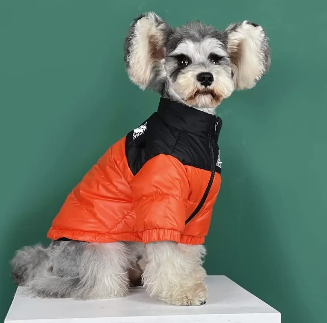 Dog Winter Coat Duck Down Jacket for Small Medium Dogs-Thicken Dog Coat Windbreaker Puppy Winter Clothes for Cold Weather Snowday (Green, Medium)