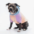 Spark Paws Dog Hoodie – Premium Dog Sweater for Small, Medium, and Large Dogs | Warm Outfits for French Bulldogs, Pitbull, Puppy, Winter Jacket Alternative - Slate Blue - XL