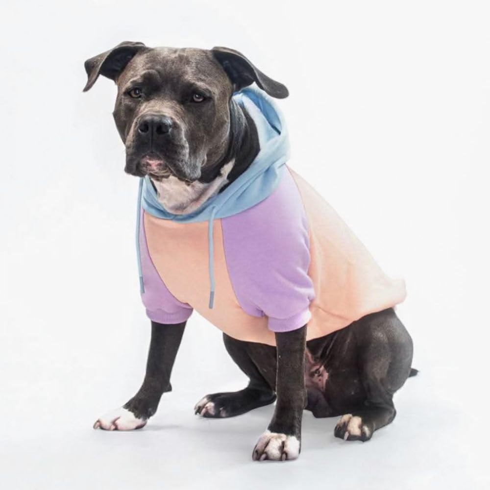 Spark Paws Dog Hoodie – Premium Dog Sweater for Small, Medium, and Large Dogs | Warm Outfits for French Bulldogs, Pitbull, Puppy, Winter Jacket Alternative - Slate Blue - XL