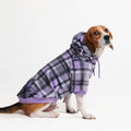 Spark Paws Dog Hoodie – Premium Dog Sweater for Small, Medium, and Large Dogs | Warm Outfits for French Bulldogs, Pitbull, Puppy, Winter Jacket Alternative - Slate Blue - XL