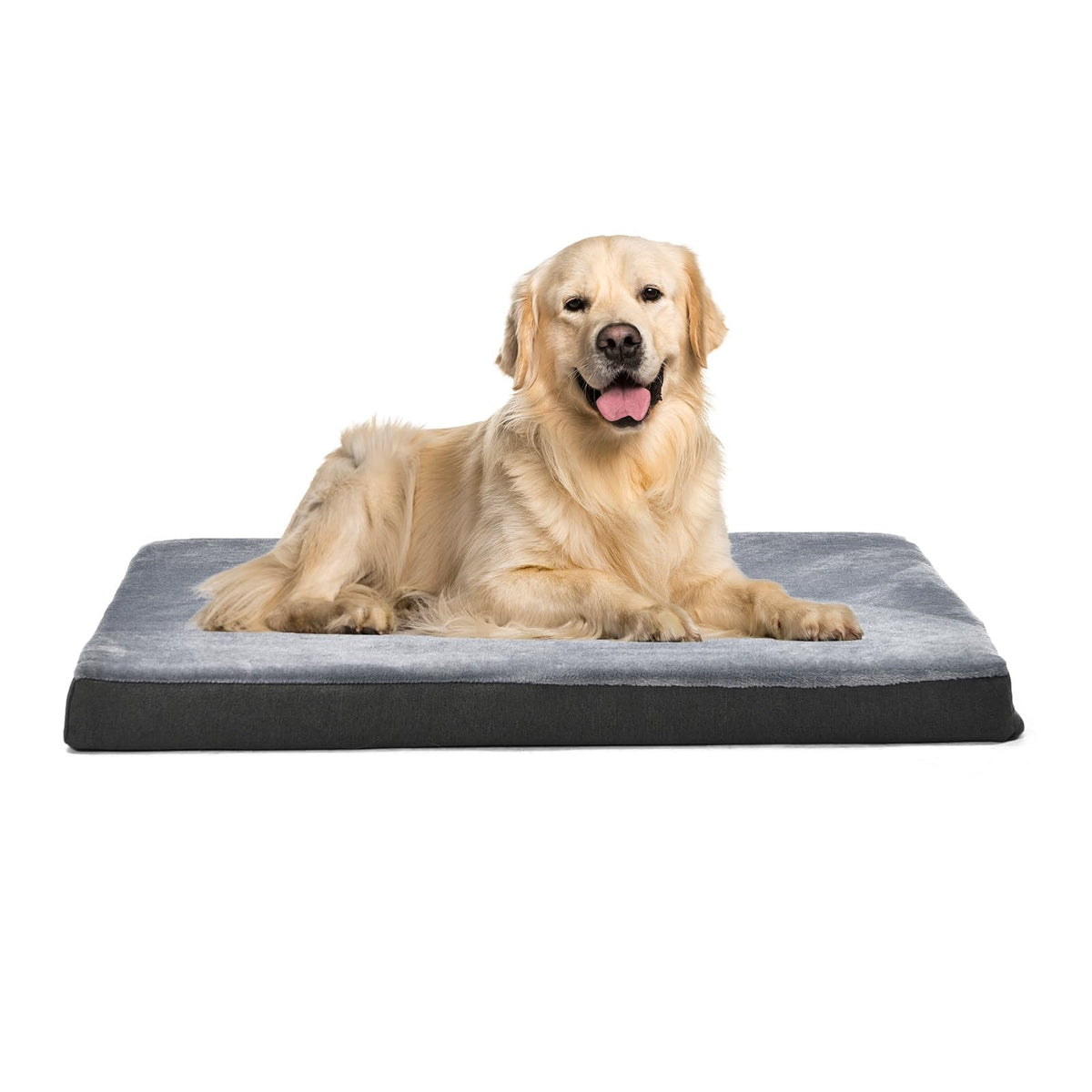 Amazon Basics Living Room Couch Dog Bed with Premium Foam, Non-Slip Bottom, Removable Washable Cover, Pressure-Relief Support for Dogs up to 55lbs, Large (36" x 27"), Grey