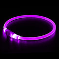 Led Dog Collar, BSEEN USB Rechargeable Flash Dog Necklace Light, Pet Safety Collar Makes Your Beloved Dogs Be Seen at Night for Small Medium Large Dogs(Green)