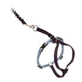 PetSafe Come with Me Kitty Harness and Bungee Leash Adjustable, Lightweight Harness for Cats Large, Lilac