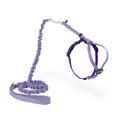 PetSafe Come with Me Kitty Harness and Bungee Leash Adjustable, Lightweight Harness for Cats Large, Lilac
