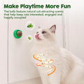 Potaroma Catnip Toys Balls 4 Pcs with Extra Cat Energy Ball