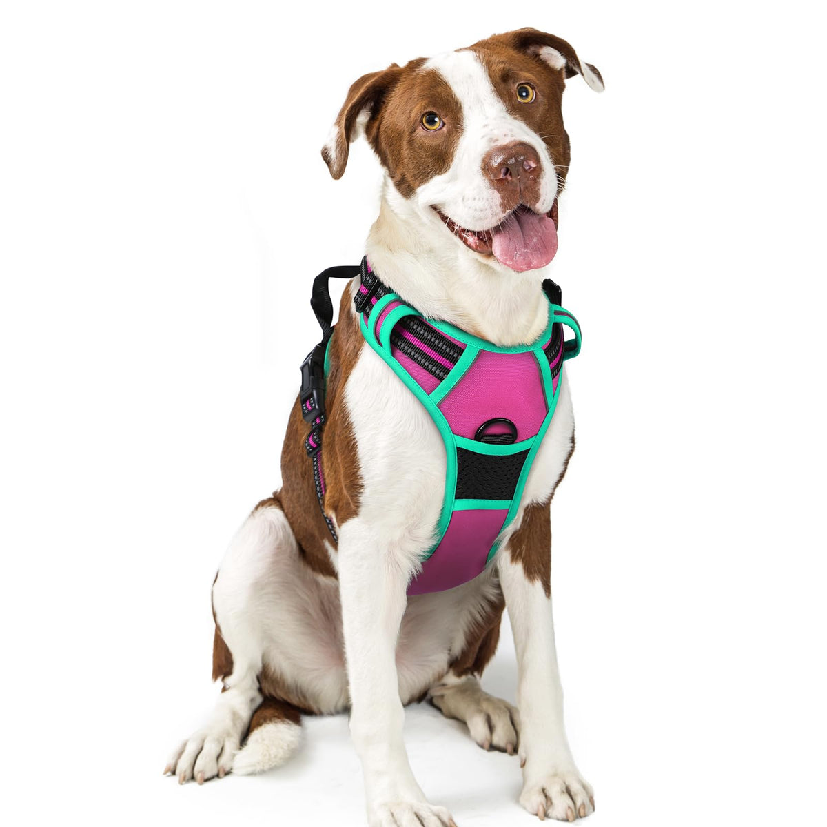 rabbitgoo Dog Harness No Pull with 2 Leash Clips, Adjustable Soft Padded, Reflective Oxford No Choke Pet Vest with Easy Control Handle for Medium Sized Dogs, Black, M