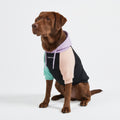 Spark Paws Dog Hoodie – Premium Dog Sweater for Small, Medium, and Large Dogs | Warm Outfits for French Bulldogs, Pitbull, Puppy, Winter Jacket Alternative - Slate Blue - XL