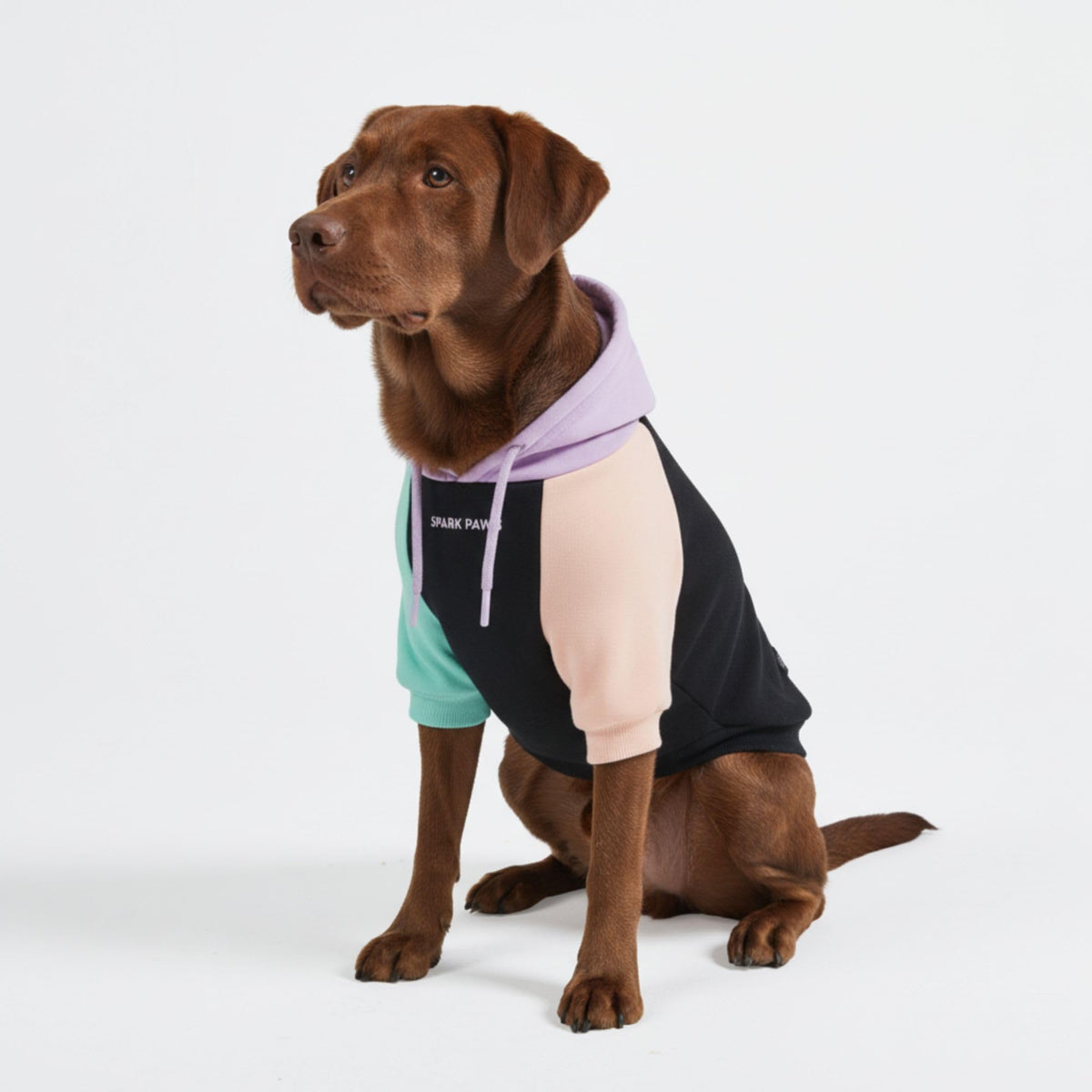 Spark Paws Dog Hoodie – Premium Dog Sweater for Small, Medium, and Large Dogs | Warm Outfits for French Bulldogs, Pitbull, Puppy, Winter Jacket Alternative - Alpine - L