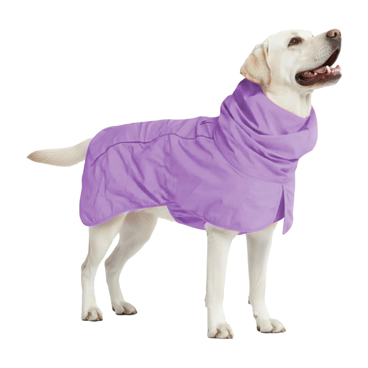 Spark Paws Dog Raincoat, Waterproof Windproof Rain Jacket, for Small Medium Large Extra Large Dogs, Reflective Breathable Full-Body Coverage Dry Suit - Neon White Navy Blue, 2XL