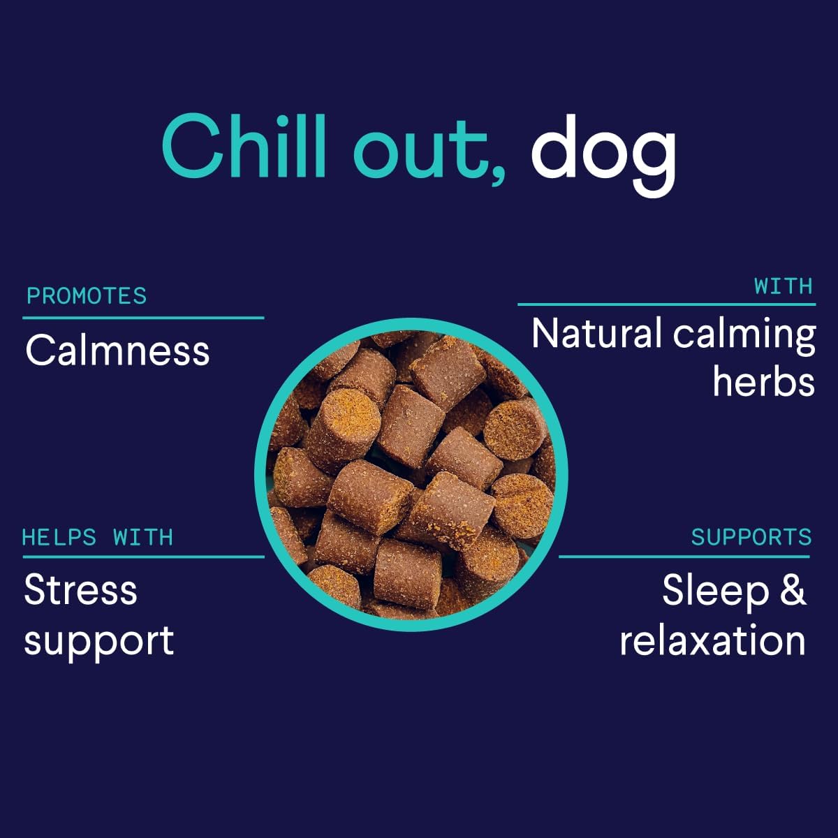 Finn Calming Aid for Dogs | Melatonin Chews for Stress & Sleep | 90 Ct | L-Theanine & Chamomile | NASC Certified | Vet-Formulated | Travel, Thunder & Separation Support