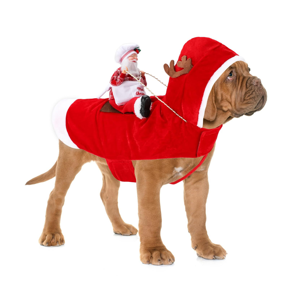 Santa Dog Costume, Dog Christmas Outfit, Riding Pet Costume, Size M